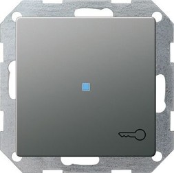 Клавиша Gira E22 Сталь с пиктограммой &quot;дверь&quot; и контрольным окном 028720