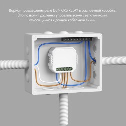 RL1003-DM/1 Одноканальное Wi-Fi реле-диммер 1 x 150 Вт