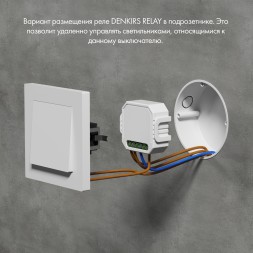 RL1003-DM/1 Одноканальное Wi-Fi реле-диммер 1 x 150 Вт