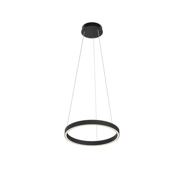 Подвесной светильник Maytoni MOD058PL-L22BK