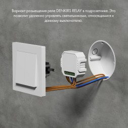 RL1004-DM/1 Двухканальное Wi-Fi реле-диммер 2 x 100 Вт
