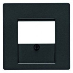 Центральная панель Berker R.1 Berker Q.1 6810336086