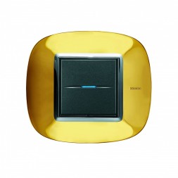 Рамка Bticino Axolute Овал Золото 2-модульная HB4802OR