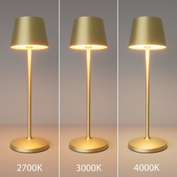 Аккумуляторный светильник Maytoni MOD494RL-L1BSK