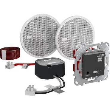 Аудиосистема Bluetooth Schneider Electric Unica Class Top графит MGU70.566.12