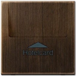 CARD-накладка Jung LS серия Антик ME2990CARDAT