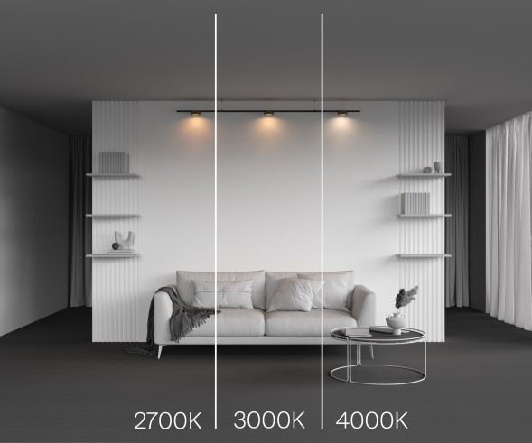 Трековый светильник Technical TR189-1-12W2.7K-BBS