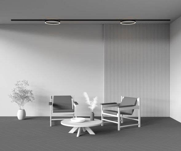 Трековый светильник Technical TR227-2-24W3K-B