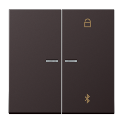 Таймер Jung LS серия Dark универсальный Bluetooth AL1751BTD