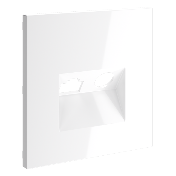 Накладка для розетки TV+RJ45 кат. 6, S70 (белый глянцевый)