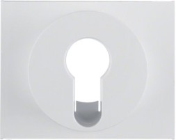 Центральная панель Berker R.1 Berker K.1 полярная белизна с блеском для замочных выключателей/кнопок 15057009