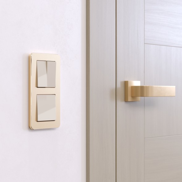 Рамка из металла на 2 поста Platinum шампань W0022611