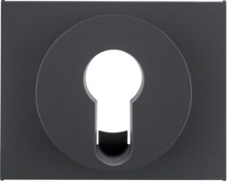 Центральная панель Berker R.1 Berker K.1 антрацит матовый для замочных выключателей/кнопок 15057006