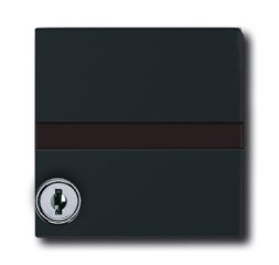 Плита промежуточная ABB Busch-Duro 2000 SI и Reflex SI антрацит с крышкой для центральных плат IP44 2CKA001710A1985 2118 GKSLN-35