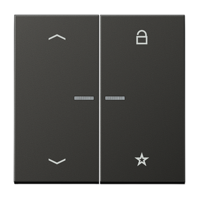 Центральная плата Jung LS серия Антрацит универсальная «стрелки» AL1701PAN