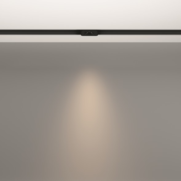 Трековый светильник Technical TR100-2-2W4K-S-B