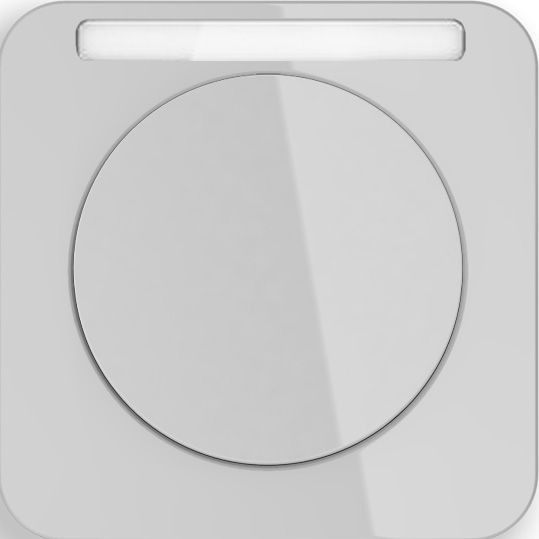 Рамка Berker R.1 Полярная белизна с блеском с полем для надписей 1 пост 10112179