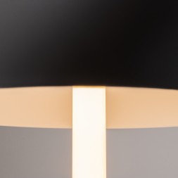 Настольный светильник Maytoni Z012TL-L8B3K