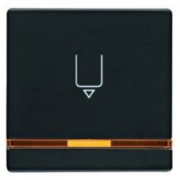 Накладка карточного выключателя Berker Q.1 антрацитовый с эффектом бархата, для гостиниц с оттиском и оранжевой линзой 16406086