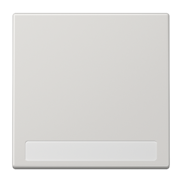 Клавиша Jung LS серия Светло-серый 1-я с полем для надписи LS990NALG