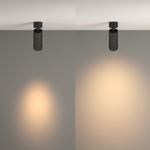 Потолочный светильник Technical C055CL-L12W3K-Z-B