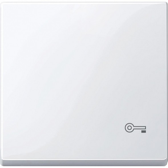 Клавиша Merten M-серия активный белый с пиктограммой «ключ» MTN3303-0325