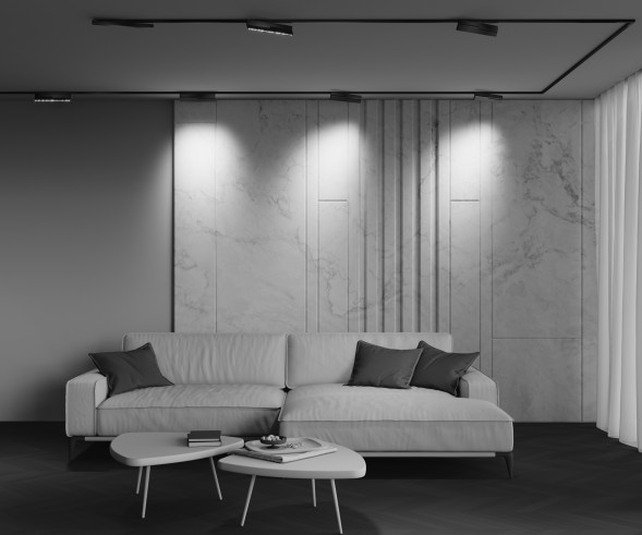 Трековый светильник Technical TR242-2-12W4K-B