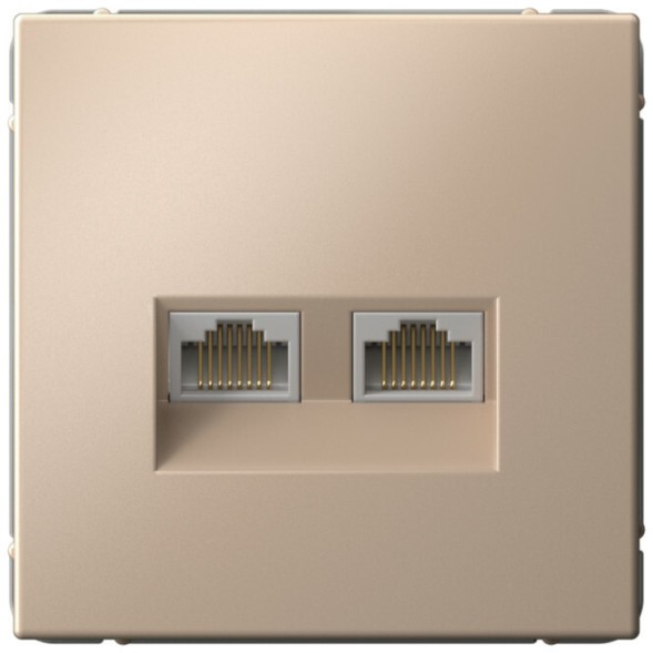 Розетка информационная RJ45 двойная категория 6a (Песочный) Schneider Electric Systeme Art Gallery GAL001288