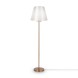 Напольный светильник (торшер) Freya FR1006FL-01G