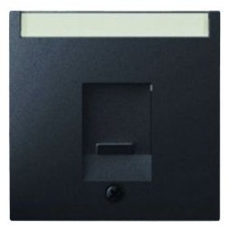 Центральная панель Berker R.1 Berker Q.1 антрацит с эффектом бархата, с заслонкой от пыли и полем для надписи 11706086