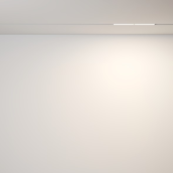 Трековый светильник Technical TR106-2-12W3K-W