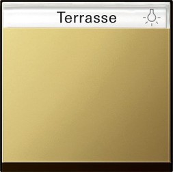 Одинарная клавиша Gira Латунь с полем для надписи 0299604