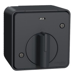 Выключатель Schneider Electric Mureva с таймером (реле времени) IP55 накладной монтаж Антрацит MUR35067