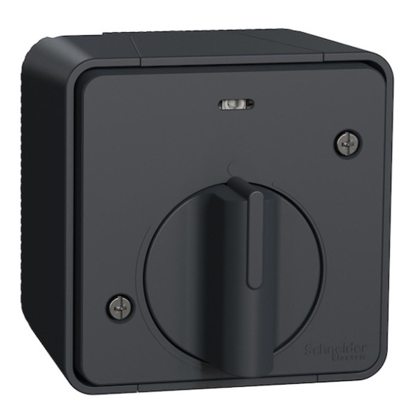 Выключатель Schneider Electric Mureva с таймером (реле времени) IP55 накладной монтаж Антрацит MUR35067