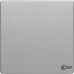 Клавиша Berker Q.1 алюминиевый с эффектом бархата, с оттиском символа «Дверь» 16206064