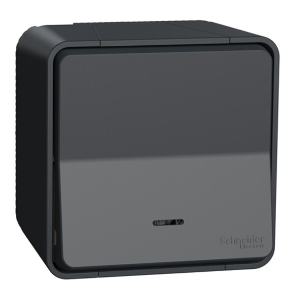 Кнопочный выключатель Schneider Electric Mureva с подсветкой IP55 накладной монтаж Антрацит MUR35028