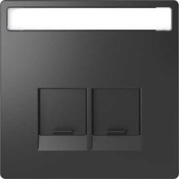 Центральная накладка Merten D-Life антрацит для 2-х модульных разъемов se MTN4574-6034
