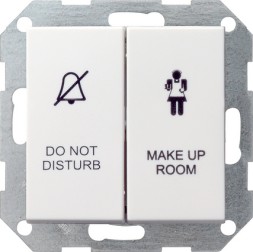 Выключатель Gira Белый матовый для отелей 2-клавишный Белый матовый матовый 110427