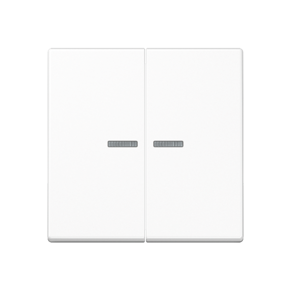 Клавиша Jung A серия Белый двойная с/п A595KO5WW