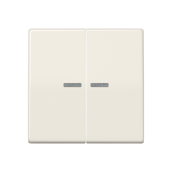 Клавиша Jung AS 500 Бежевая антибактериальная 2-я с/п ABAS591-5KO5