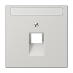 Накладка Jung LS серия Светло-серый 1-ой наклонной ТЛФ/комп розетки с полем для надписи LS969-1NAUALG