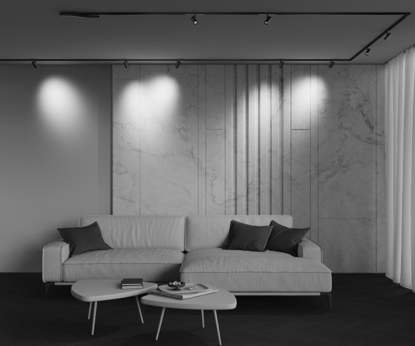 Трековый светильник Technical TR243-4-5WTW-DSZ-B