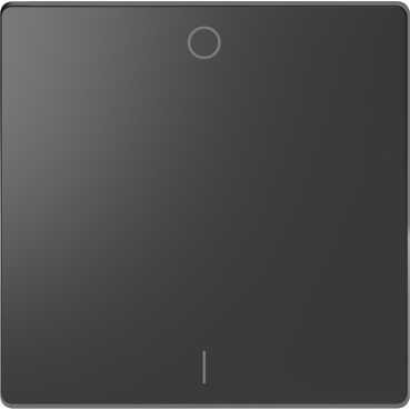 Клавиша Merten D-Life антрацит 1-ная с символом o/i или вкл/выключателя MTN3301-6034