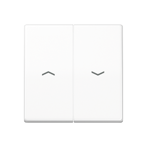 Клавиша Jung AS 500 белая антибактериальный 2-я жалюзийная ABAS591-5PWW