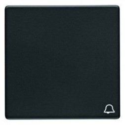 Клавишный выключатель Berker Q.1 16206056