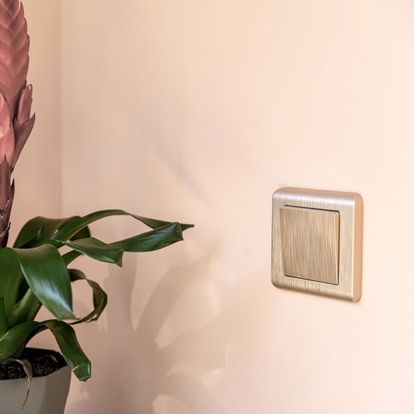 Выключатель одноклавишный (шампань рифленый) Werkel W1110010