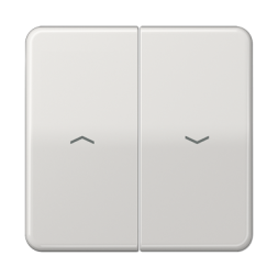 Клавиша Jung CD серия Светло-серая 2-я жалюзийная CD595PBFLG