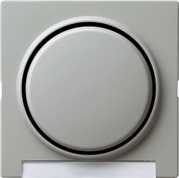 Одинарная клавиша Gira S-color Серый с полем для надписи 029942