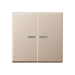 Клавиша Jung A серия Champagner двойная на выключатель, с окошком A595KO5CH