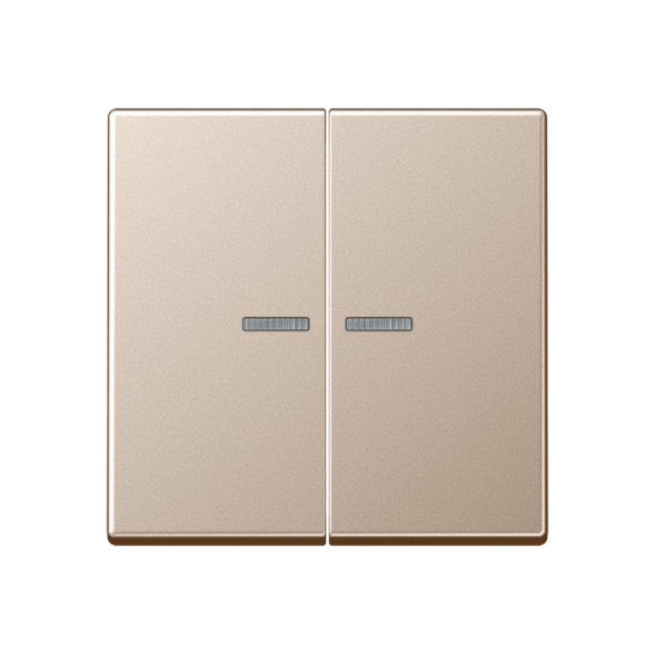 Клавиша Jung A серия Champagner двойная на выключатель, с окошком A595KO5CH